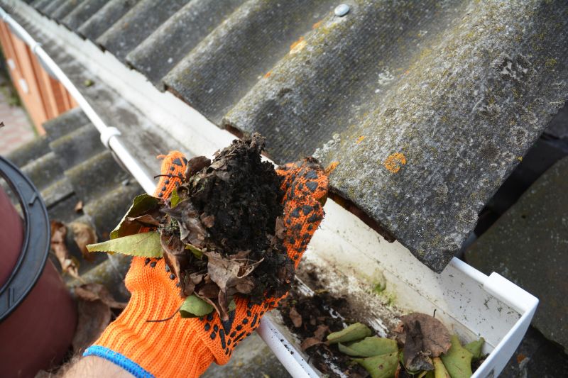 Removing Debris from Gutters
