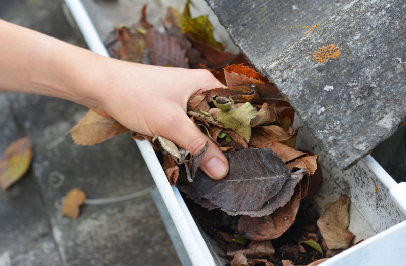 Clogged Gutter Removal